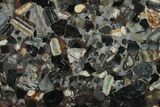 Polished Black Jasper Conglomerate Slab - Australia #132960-1